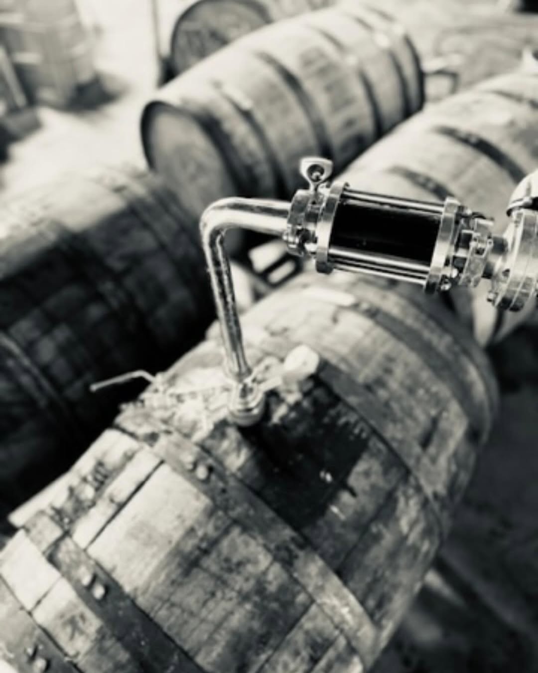 Wax Wings Brewing Co. gallery photo